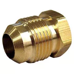 1-2-in-flare-brass-hex-plug-pack-5 1/2 in. Flare Brass Hex Plug (Pack of 5)