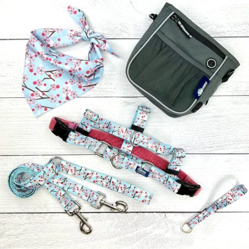 bundle-cherry-blossoms-blue-freedom-no-pull-harness-more **BUNDLE!** Cherry Blossoms Blue Freedom No-Pull Harness & More!