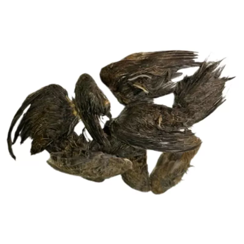 undique-quail-wings-dog-training-small-10-count Undique Quail Wings for Dog Training, Small (10 Count)