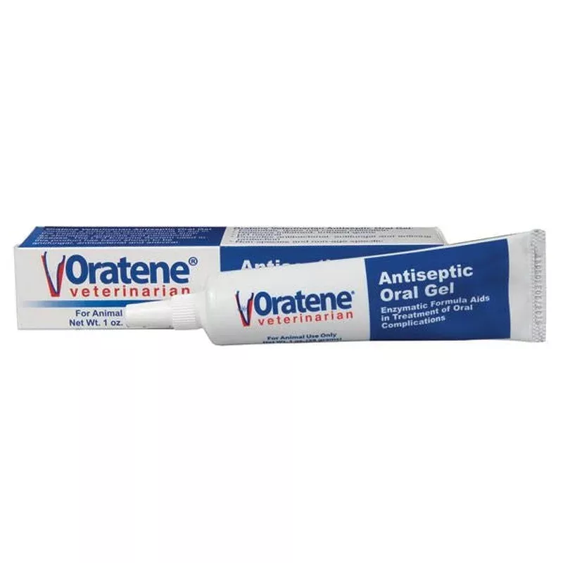 zymox-oratene-antiseptic-oral-gel-1oz Zymox Oratene Antiseptic Oral Gel 1oz
